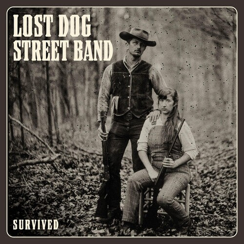 Lost Dog Street: Survived
