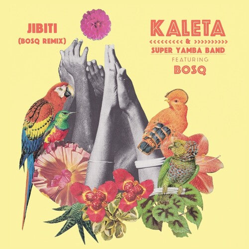 Kaleta & Super Yamba Band / Bosq: Jibiti (Bosq Remix)