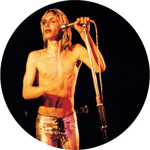 Iggy & Stooges: More Power - A Gorgeous Picture Disc Vinyl