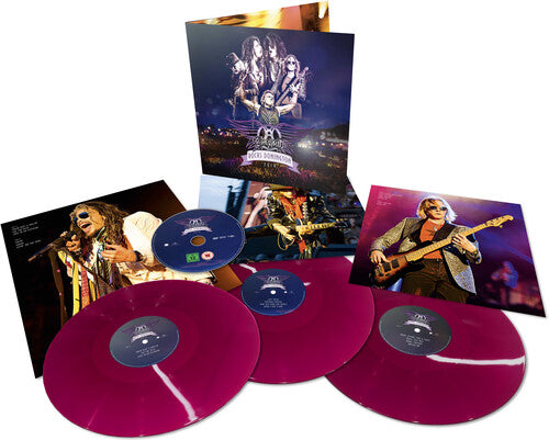 Aerosmith: Rocks Donington 2014 (3LP+DVD)