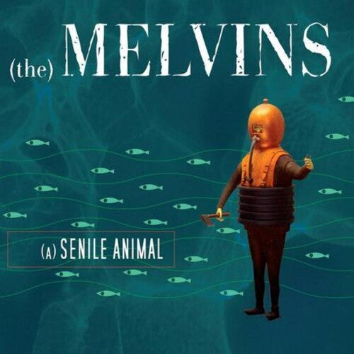Melvins: (A) Senile Animal