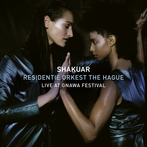 Fillali / Shakuar / Residentie Orkest the Hague: Live at Gnawa Festival