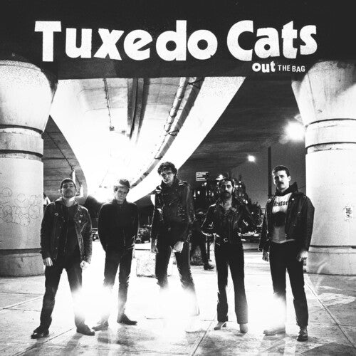 Tuxedo Cats: Out Of The Bag