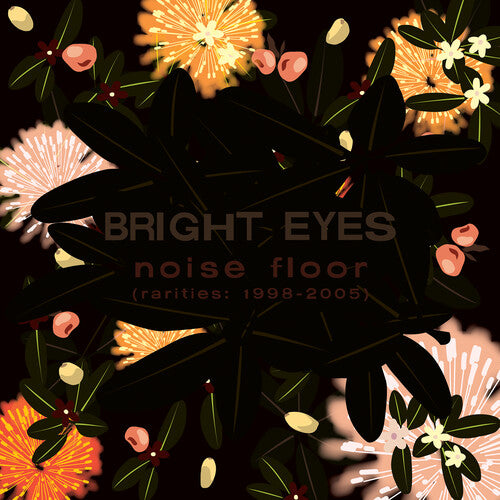 Bright Eyes: Noise Floor (rarities: 1998-2005)