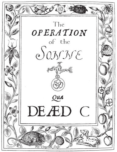 Dead C: Operation Of The Sonne