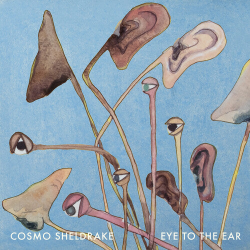 Sheldrake, Cosmo: Eye to the Ear