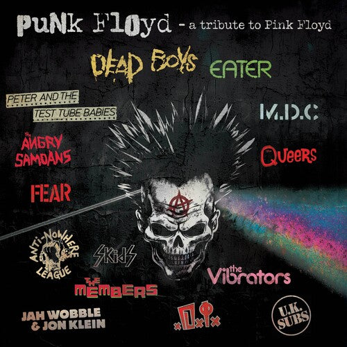 Punk Floyd - a Tribute to Pink Floyd / Various: Punk Floyd - A Tribute To Pink Floyd (Various Artists)