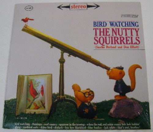 Nutty Squirrels: Bird Watching