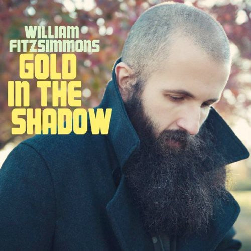 Fitzsimmons, William: Gold in the Shadow
