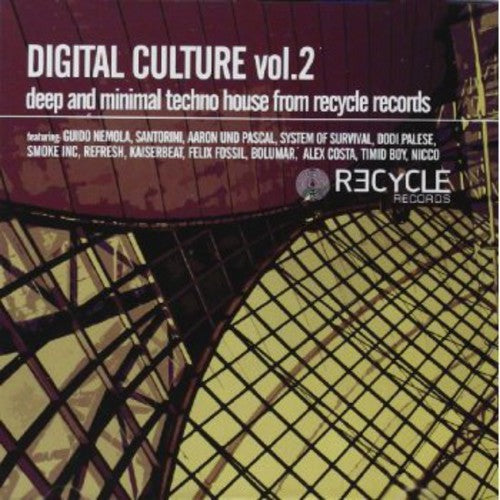 Digital Culture: Vol. 2-Digital Culture