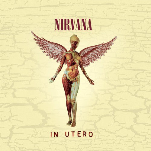 Nirvana: In Utero (20th Anniversary Edition)