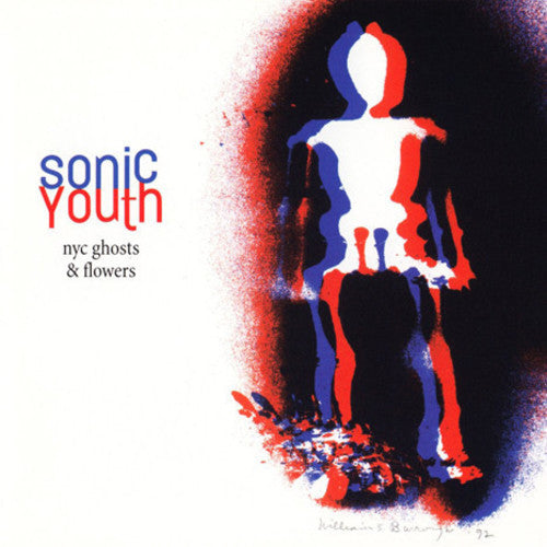 Sonic Youth: NYC Ghosts & Flowers