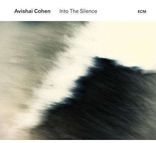 Cohen, Avishai: Into the Silence
