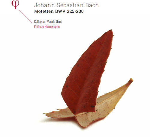 Bach, J.S. / Collegium Vocale Gent / Herreweghe: Johann Sebastian Bach: Motetten BWV 225-230