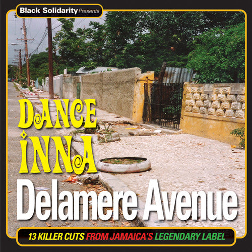 Black Solidarity Presents: Dance Inna / Various: Black Solidarity Presents: Dance Inna / Various