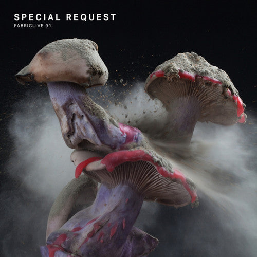 Special Request: Fabriclive 91