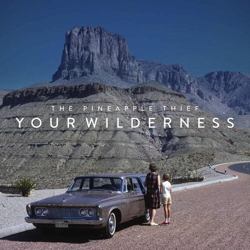 Pineapple Thief: Your Wilderness