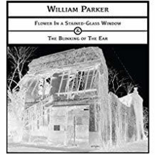 Parker, William: Flower in a Stained-Glass Window -&- the Blinking