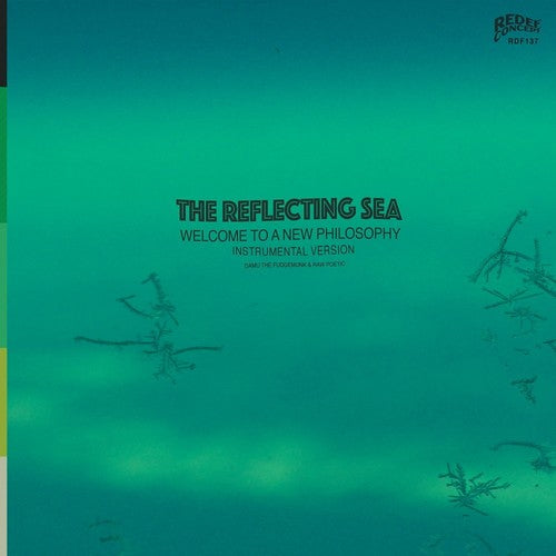 Damu the Fudgemunk & Raw Poetic: Instrumentals From The Reflecting Sea