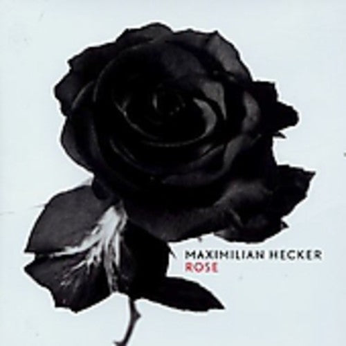 Hecker, Maximilian: Rose