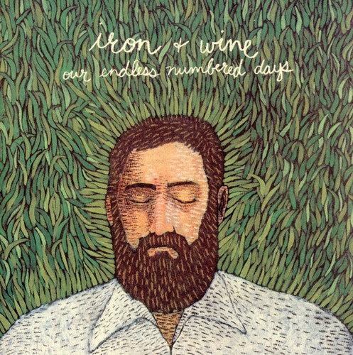 Iron & Wine: Our Endless Numbered Days